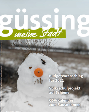 Stadtzeitung Ausgabe 01-2021